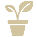 pot