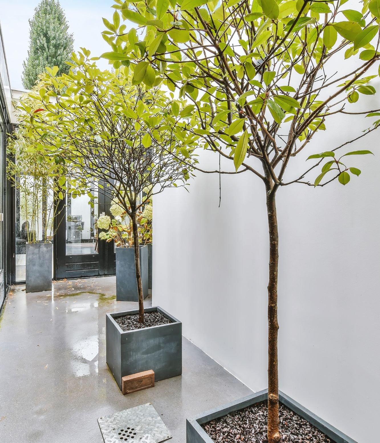 Untitled design (12)