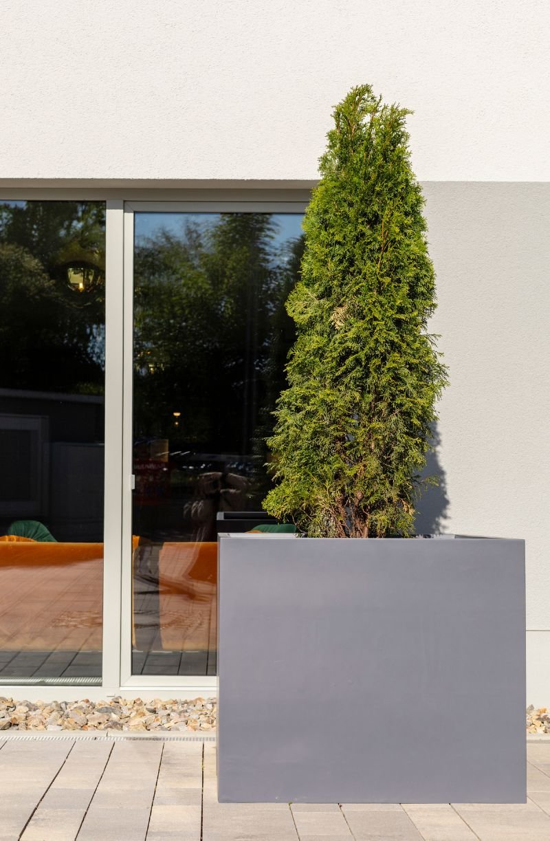 Untitled design (15)