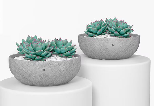 flat-round-cement-pots-mockup