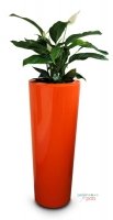 thumb_312_Urban_Primo_Tall_Round_307_x_600.jpg