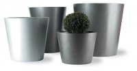 thumb_506_Alure_Cone.jpg